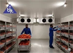 COLD STORAGE UNTUK PENYIMPANAN UDANG